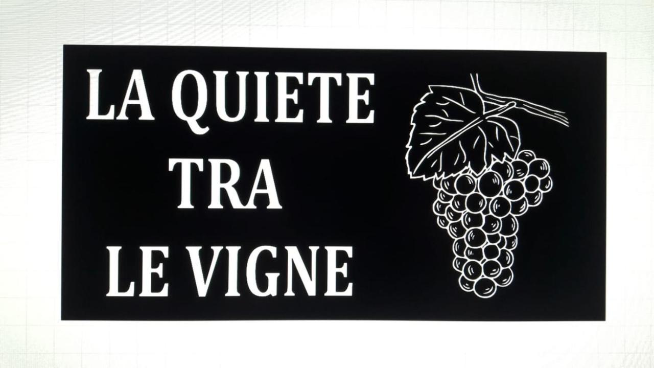 La Quiete Tra Le Vigne Tuscany Колесалвети Екстериор снимка