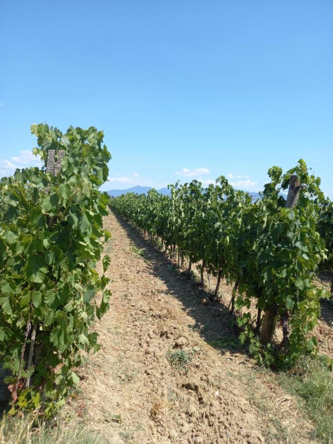 La Quiete Tra Le Vigne Tuscany Колесалвети Екстериор снимка