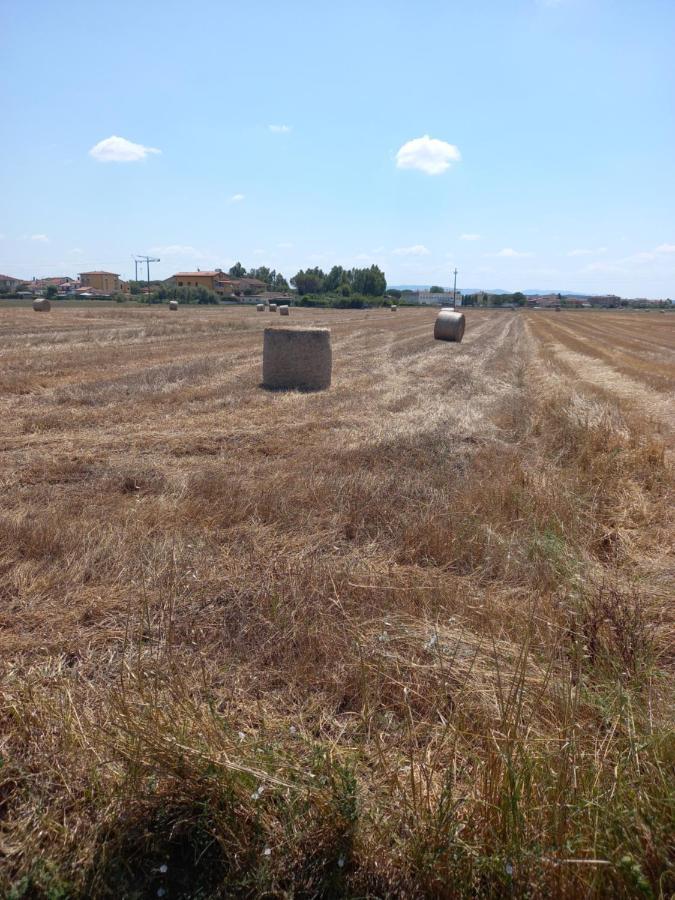 La Quiete Tra Le Vigne Tuscany Колесалвети Екстериор снимка
