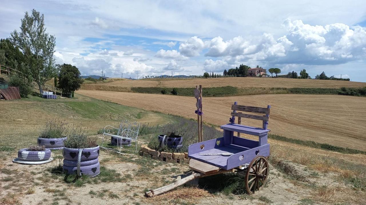 La Quiete Tra Le Vigne Tuscany Колесалвети Екстериор снимка