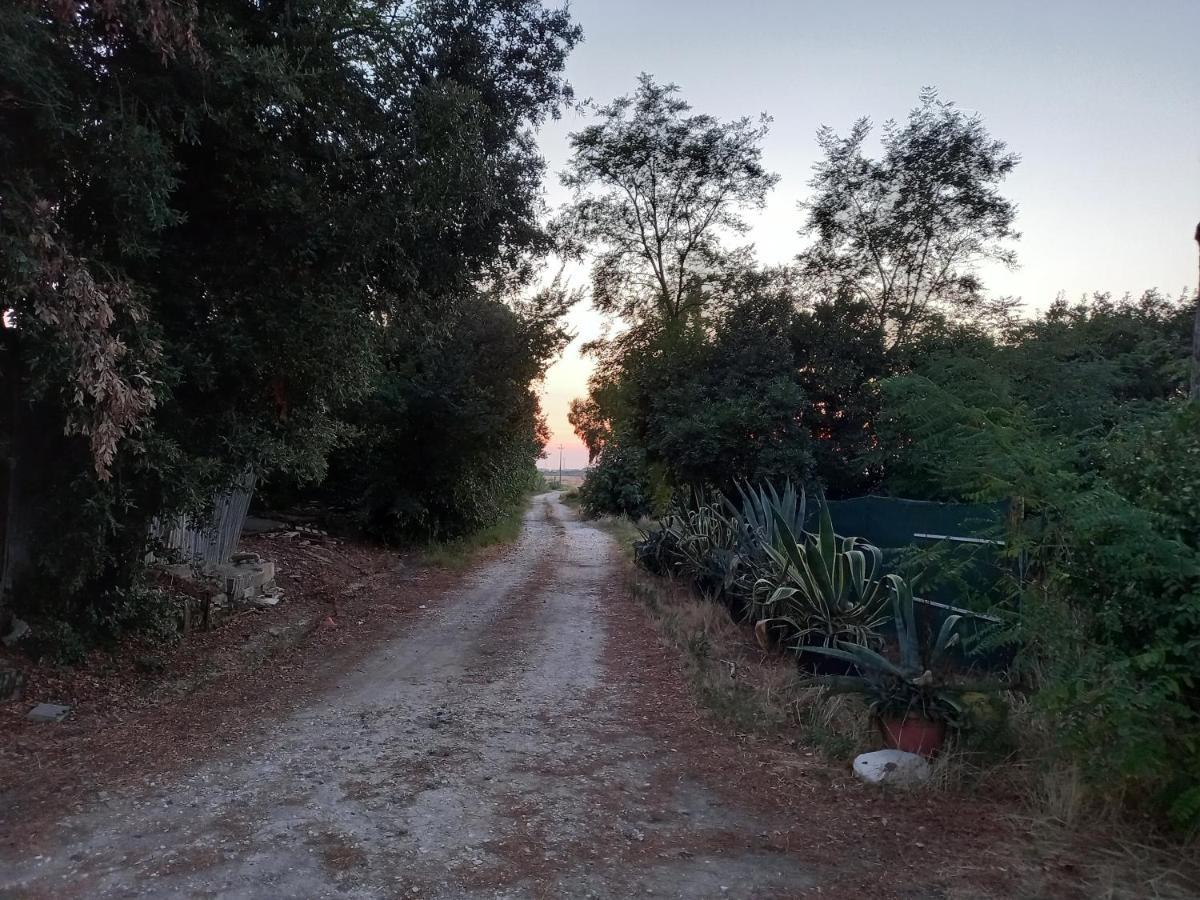 La Quiete Tra Le Vigne Tuscany Колесалвети Екстериор снимка
