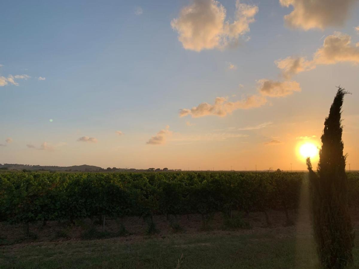 La Quiete Tra Le Vigne Tuscany Колесалвети Екстериор снимка