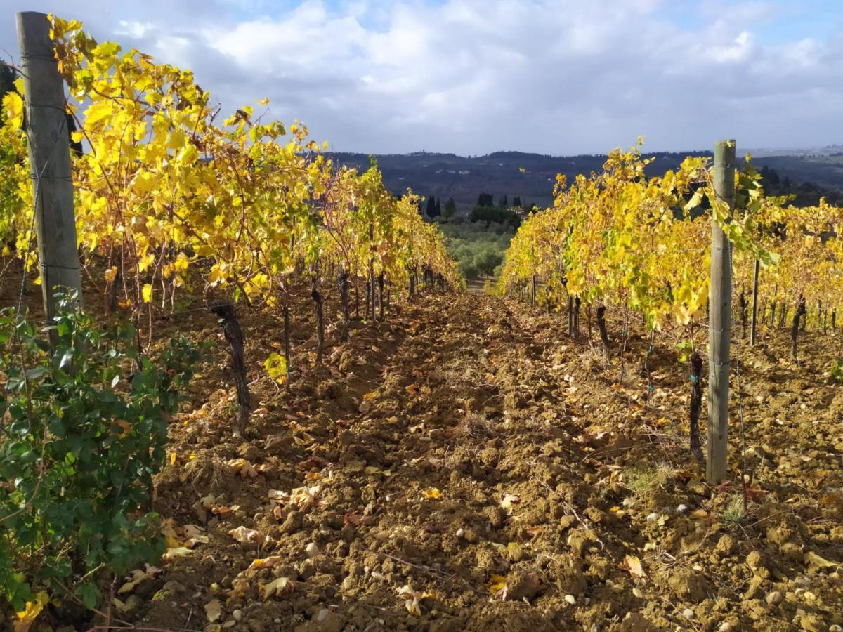 La Quiete Tra Le Vigne Tuscany Колесалвети Екстериор снимка