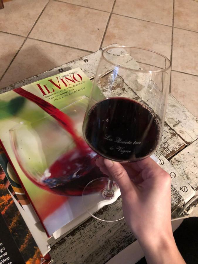 La Quiete Tra Le Vigne Tuscany Колесалвети Екстериор снимка